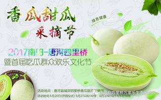 网红吃瓜和大咖,揭秘娱乐圈幕后真相