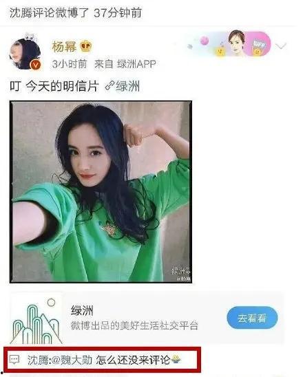 娱乐是个圈吃瓜视频,跟随“吃瓜视频”探秘娱乐圈幕后故事